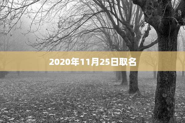 2020年11月25日取名