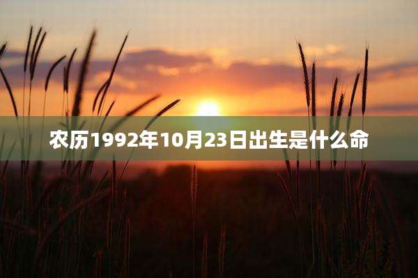 农历1992年10月23日出生是什么命
