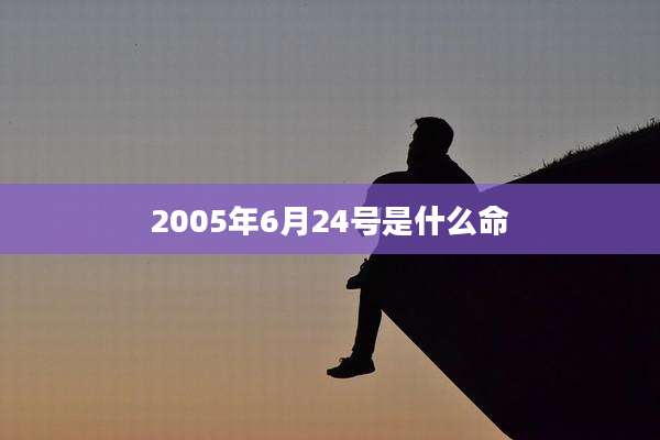 2005年6月24号是什么命