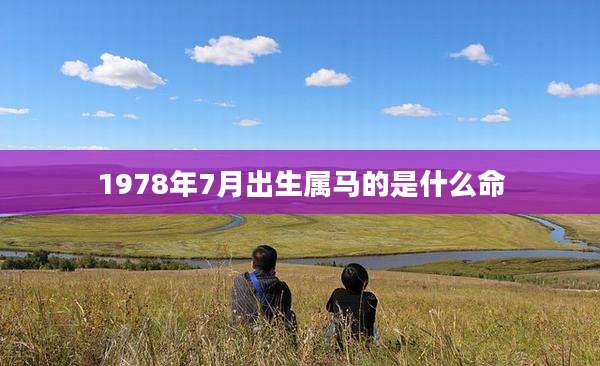 1978年7月出生属马的是什么命