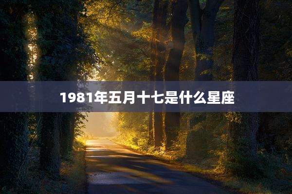 1981年五月十七是什么星座