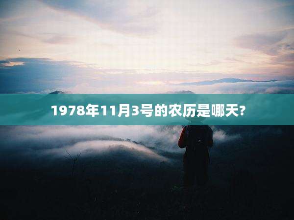 1978年11月3号的农历是哪天?