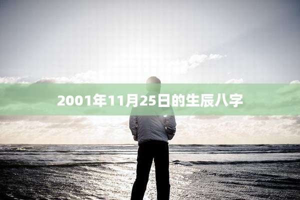 2001年11月25日的生辰八字