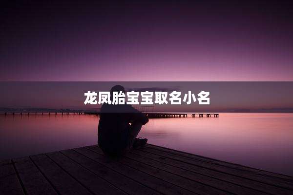 龙凤胎宝宝取名小名
