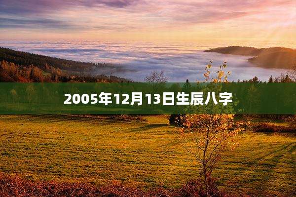 2005年12月13日生辰八字