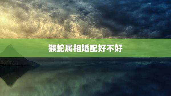猴蛇属相婚配好不好