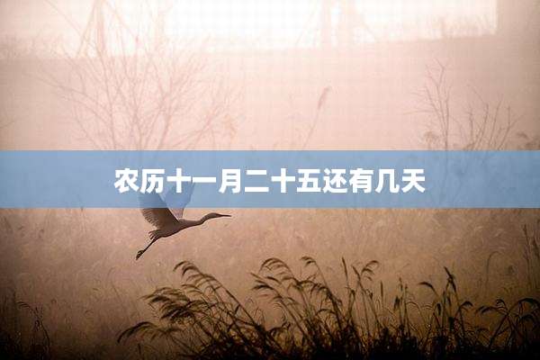 农历十一月二十五还有几天