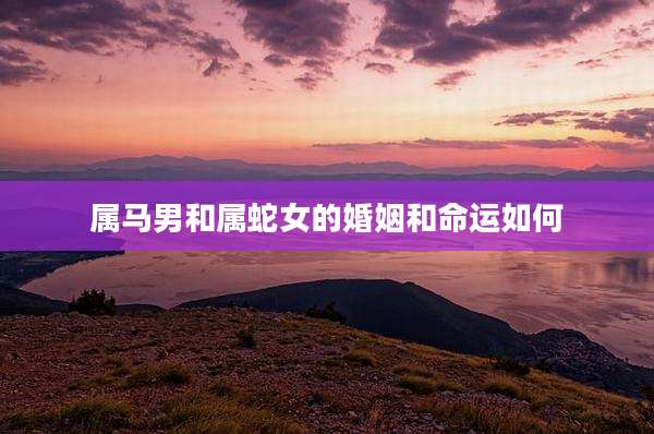 属马男和属蛇女的婚姻和命运如何