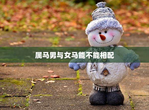 属马男与女马能不能相配