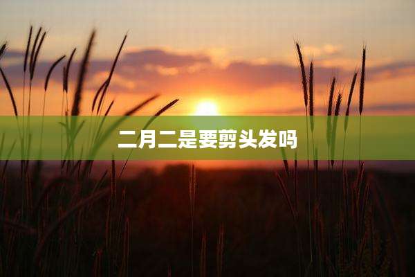 二月二是要剪头发吗