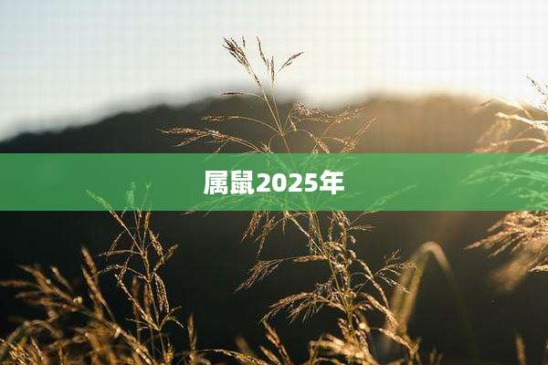 属鼠2025年