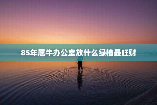 85年属牛办公室放什么绿植最旺财