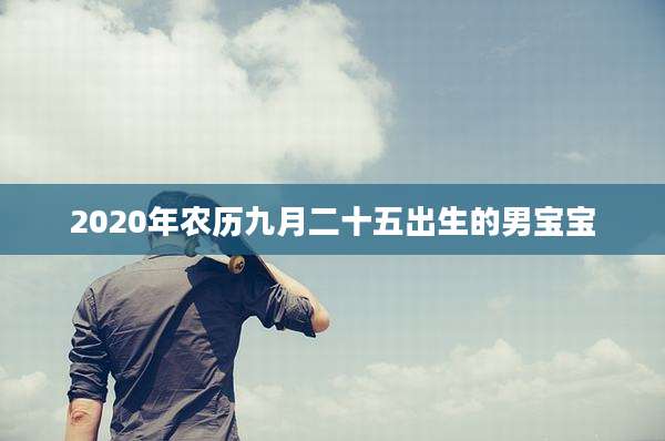 2020年农历九月二十五出生的男宝宝