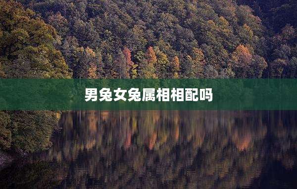 男兔女兔属相相配吗