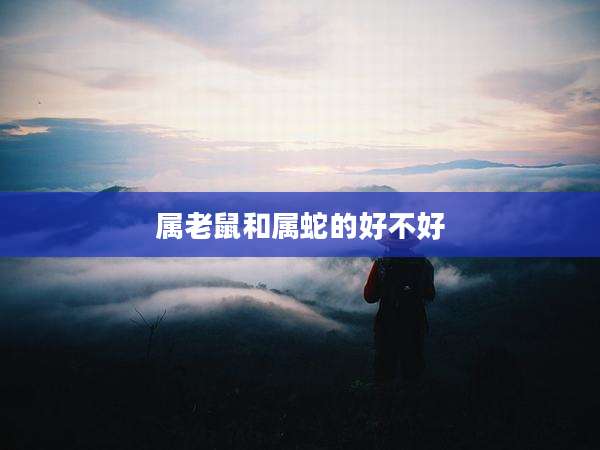 属老鼠和属蛇的好不好