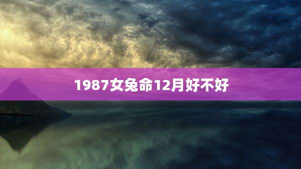 1987女兔命12月好不好