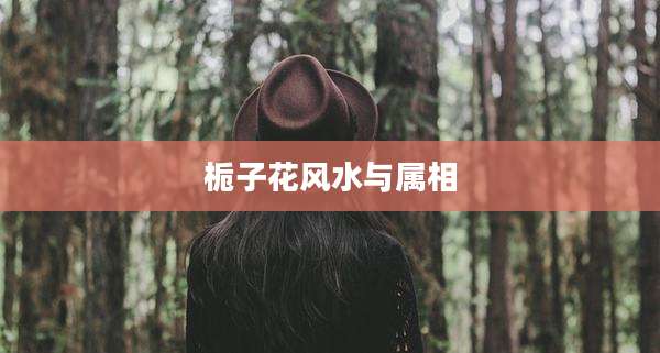 栀子花风水与属相