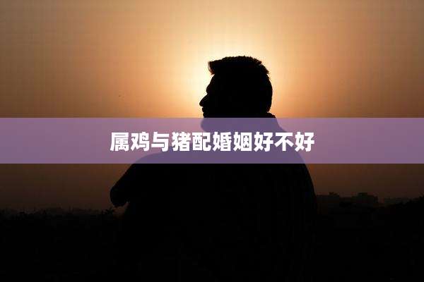 属鸡与猪配婚姻好不好