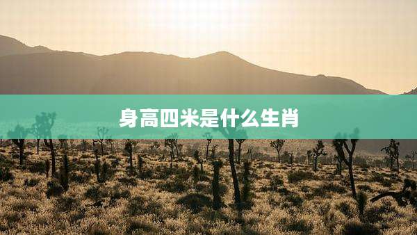 身高四米是什么生肖