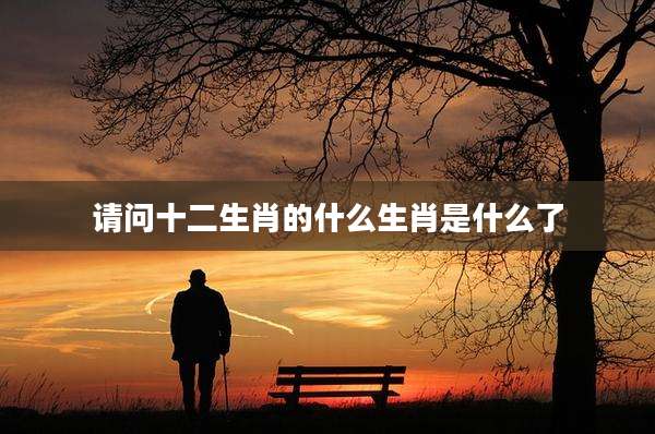 请问十二生肖的什么生肖是什么了