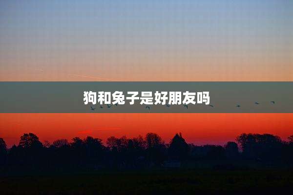 狗和兔子是好朋友吗