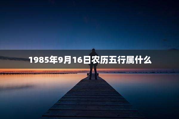 1985年9月16日农历五行属什么