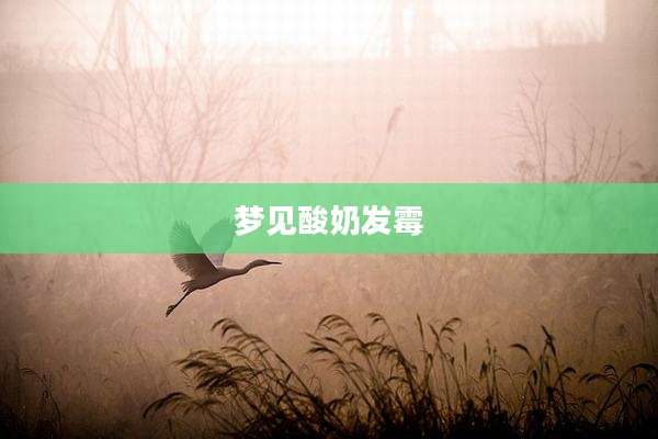 梦见酸奶发霉