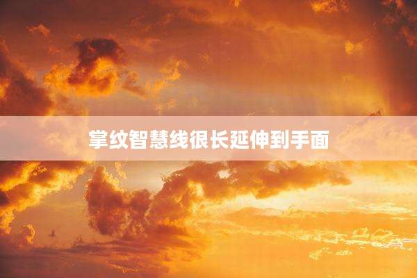 掌纹智慧线很长延伸到手面