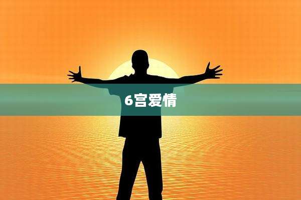6宫爱情