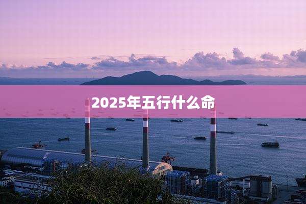 2025年五行什么命