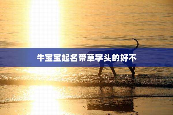 牛宝宝起名带草字头的好不