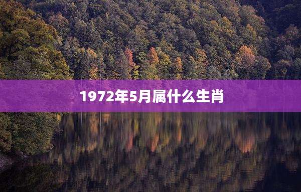 1972年5月属什么生肖