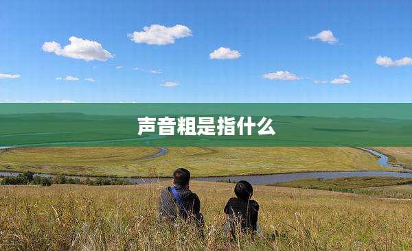 声音粗是指什么