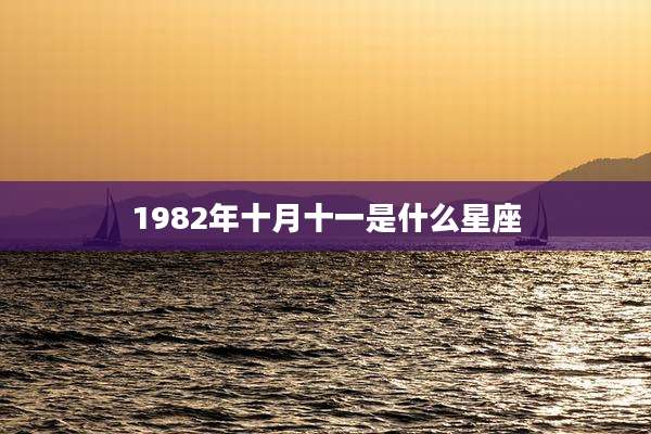 1982年十月十一是什么星座
