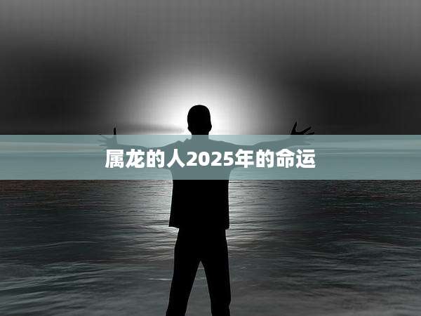 属龙的人2025年的命运