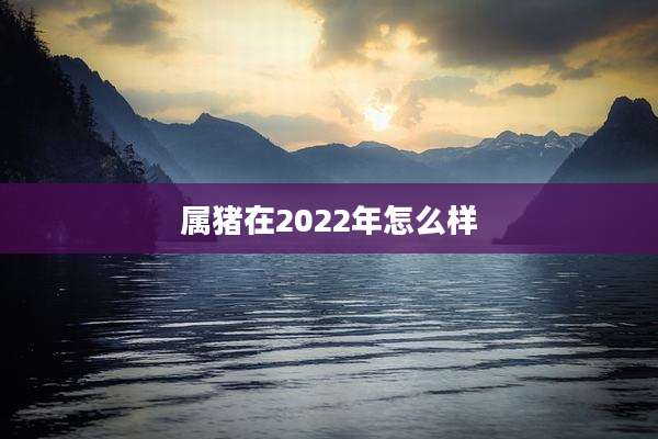 属猪在2022年怎么样