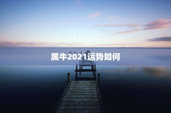 属牛2021运势如何