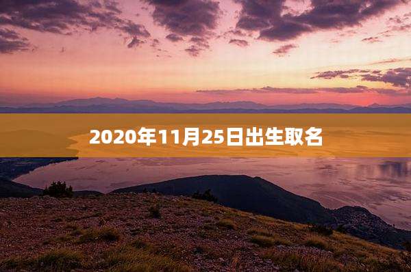 2020年11月25日出生取名