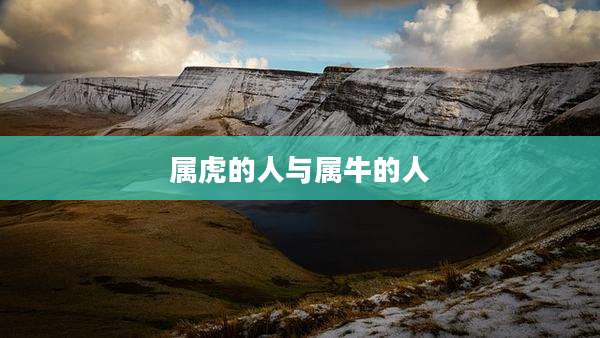 属虎的人与属牛的人