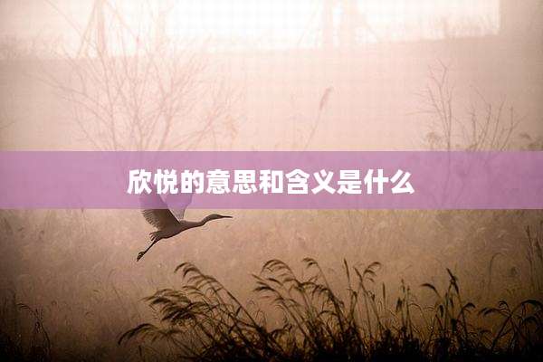 欣悦的意思和含义是什么