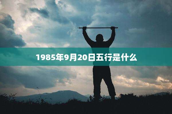 1985年9月20日五行是什么