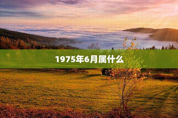 1975年6月属什么