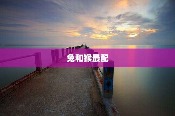 兔和猴最配
