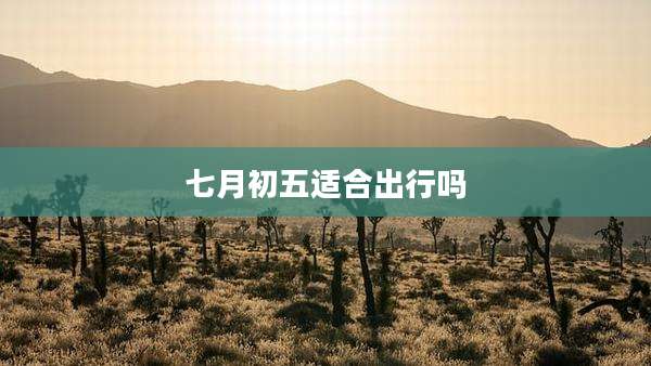 七月初五适合出行吗