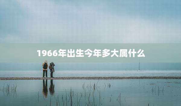 1966年出生今年多大属什么
