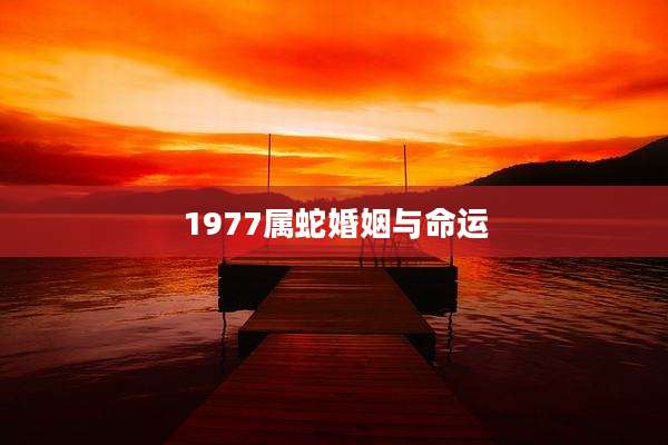 1977属蛇婚姻与命运