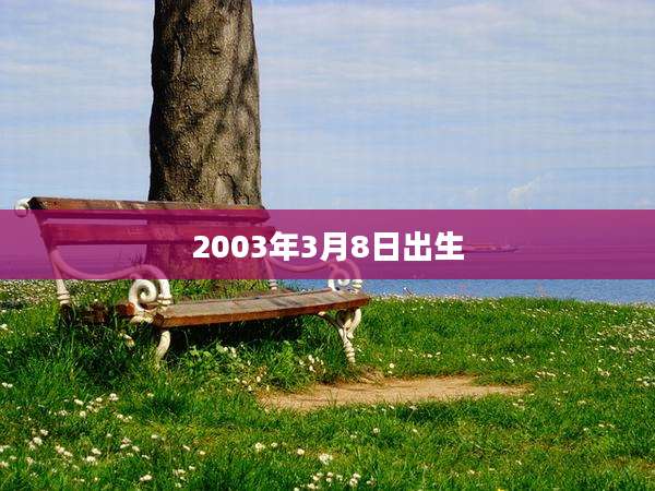 2003年3月8日出生