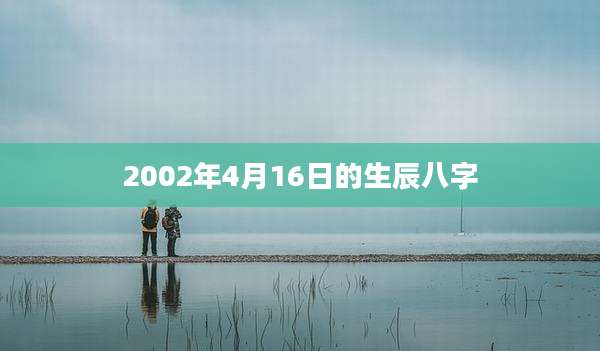 2002年4月16日的生辰八字