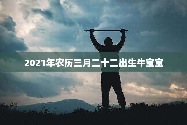 2021年农历三月二十二出生牛宝宝