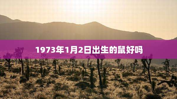1973年1月2日出生的鼠好吗